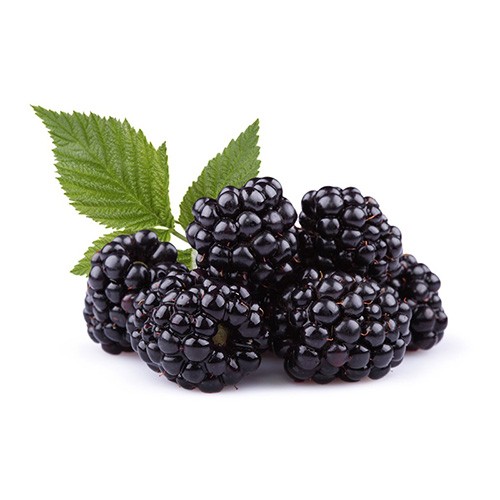 E-Ticaret Altyapısı | Güçlü ve Hazır Sistemler – SOLVES